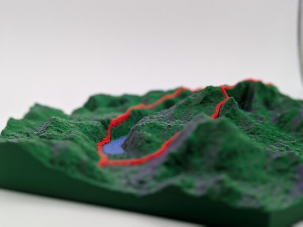 Alba Green 3D Custom Trail