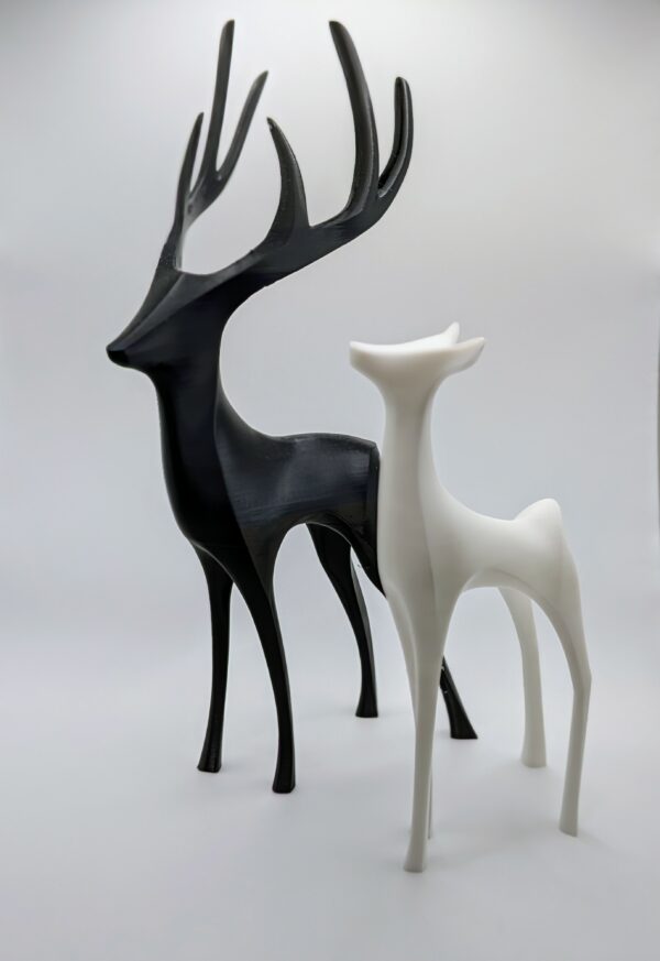 Scottish Stag & Doe