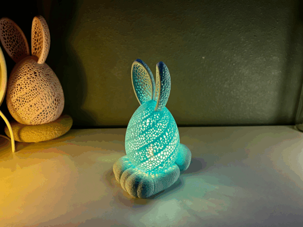Feet Bunny Small