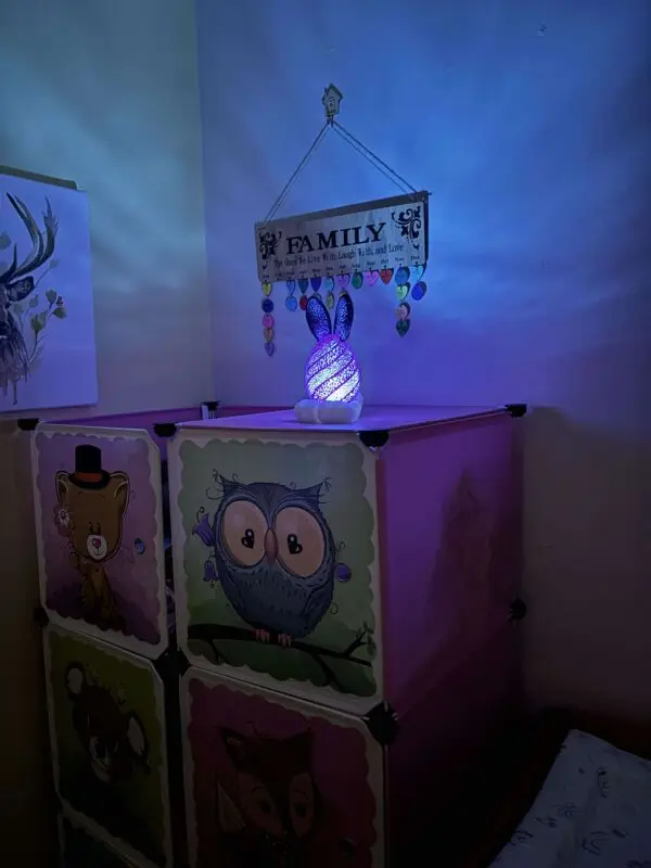 Bunny Lamp - Image 3