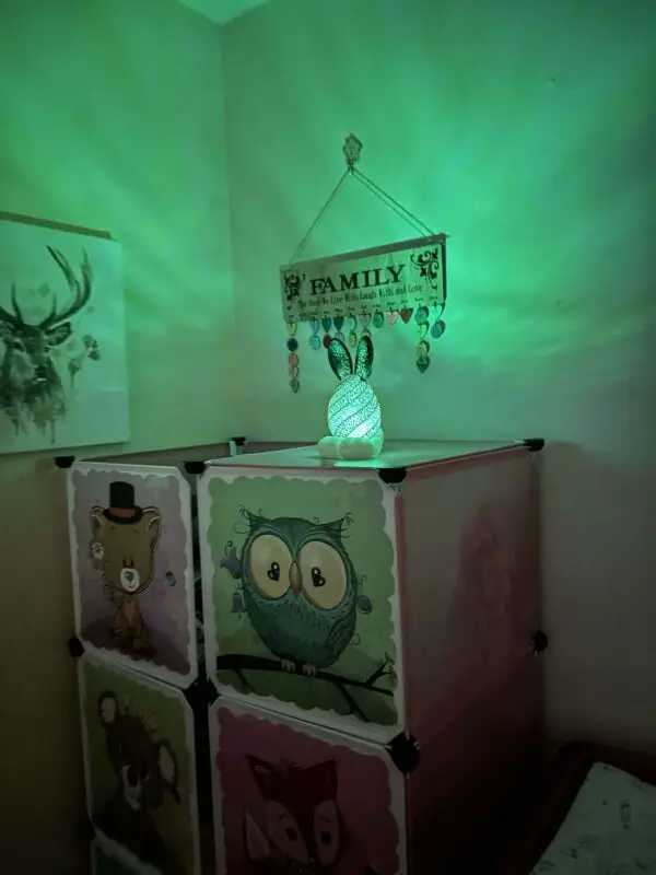 Bunny Lamp - Image 4